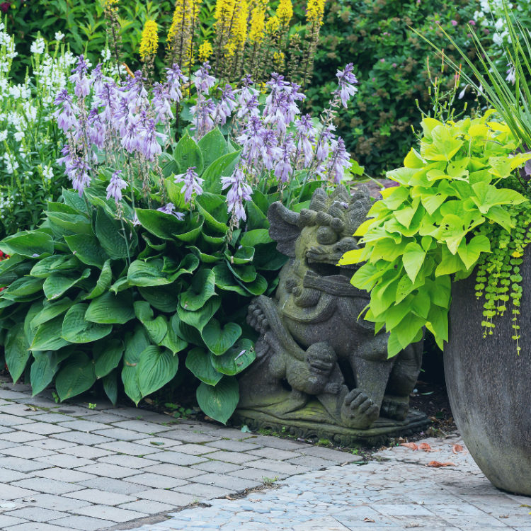 garden pathway