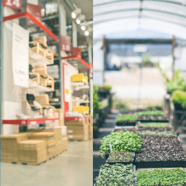 collage of images showing fuel station, warehouse store, garden center, and grocery store