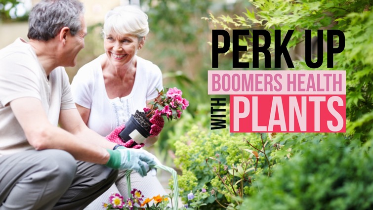 perk up boomers health with plants