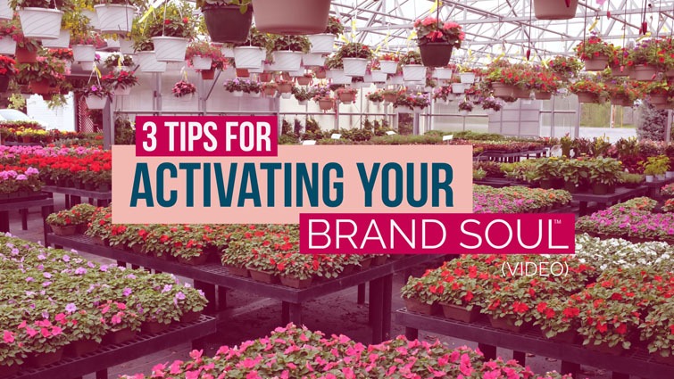 activating your brand soul