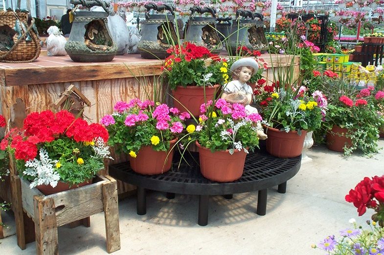 End cap display with flowers and a lawn ornament.